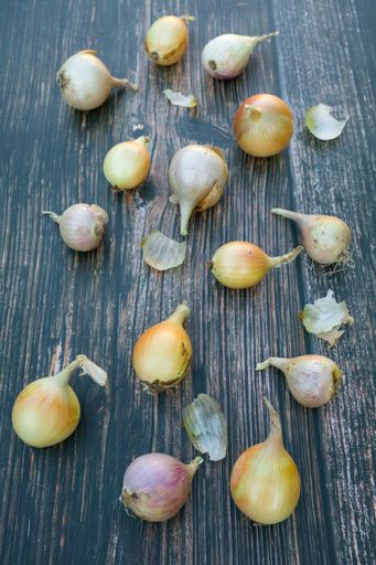A vertical shot of freshly harvested white and purple onions old rustic wooden table