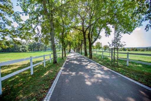 A high angle shot of a road surrounded by fences and trees in Lipica, National Park in Slovenia