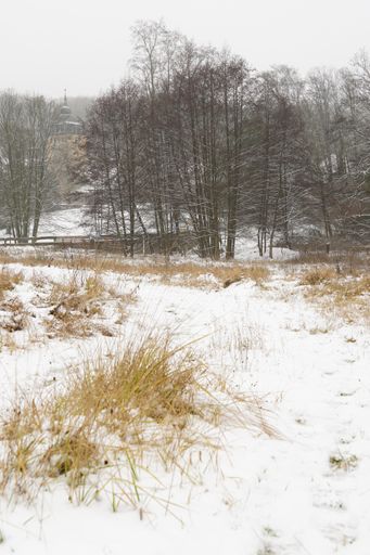 A vertical shot of snow-covered dirt path with grass and trees during winter