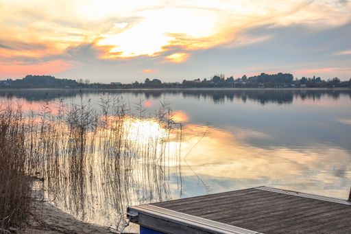 A selective focus shot of dry grass or reeds on the shore and a beautiful view of a lake with surrounding trees and buildings in the background