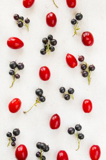 a vertical top view of Currant, Cornus and dogberry on white background
