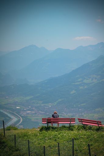 A person sitting on a park bench surrounded by lush, green grass