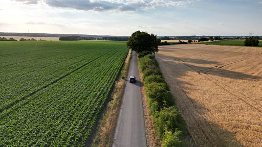 An aerial shot of a car passing along cultivated agricultural lands on a summer day