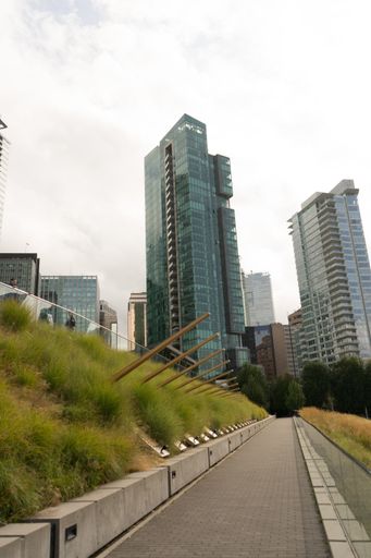 A vertical shot of pavement and urban buildings