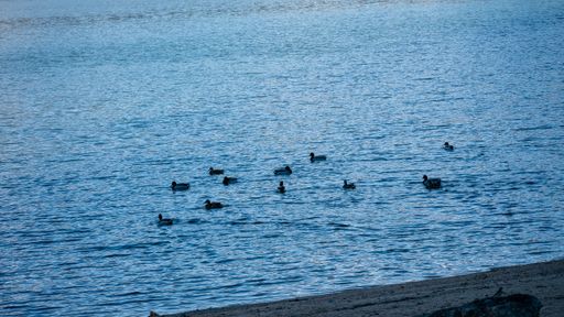 A lake with ducks on it surrounded by rocks under the sunlight in Madrid