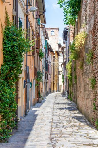 A vertical shot of an alley among stone buildings with green plants
