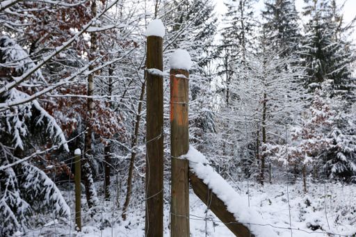 A closeup shot of a white snow cap on a wooden fence in the forest