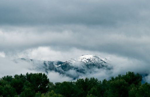 A breathtaking view of snow-covered mountains with green trees in the foreground under a cloudy sky
