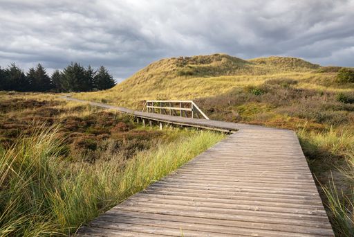 A beautiful wooden footpath under a cloudy sky on the island of Amrum, Germany