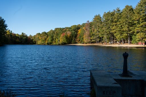 A view from the lakeshore of lush green dense forests on the other side
