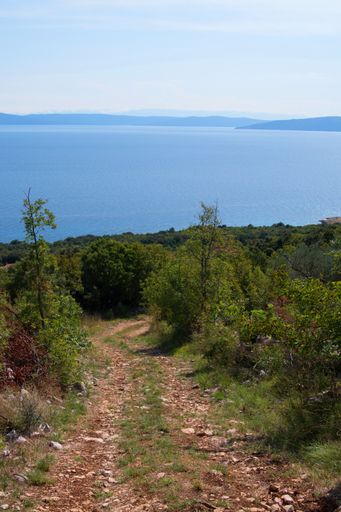 A vertical shot of pathway surrounded by trees and greenery with a sea background
