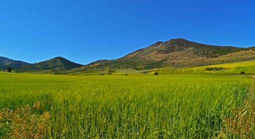 A beautiful shot of a mountainous area and an agricultural field under the blue sky