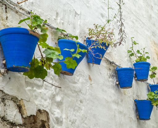 A beautiful shot of pots with different plants stuck to a textured white wall on a cloudy day