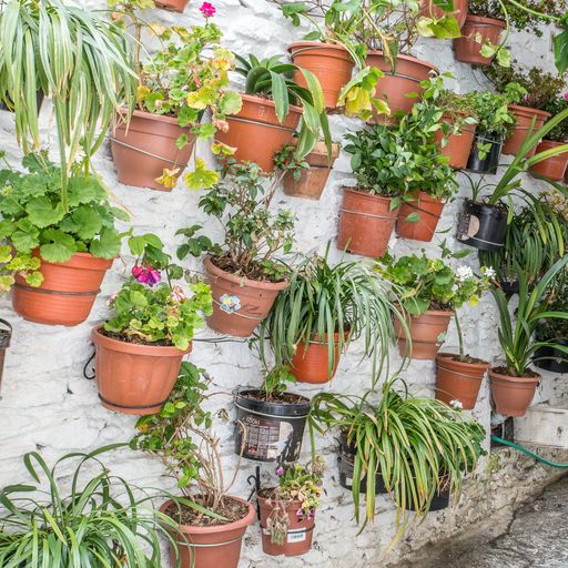 A stunning view of  pots of plants and flowers stuck on a textured wall