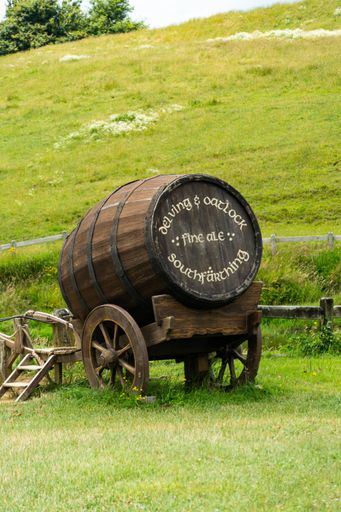 A rustic wooden wagon perched atop a lush green hill, surrounded by lush greenery