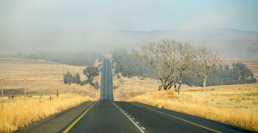 A wide angle shot of a road going between a dry field surrounded by trees