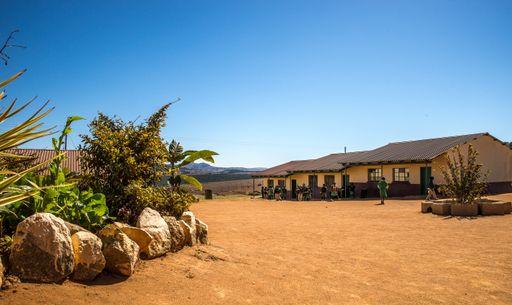 A wide angle shot of houses built on a dry field next to a few plants