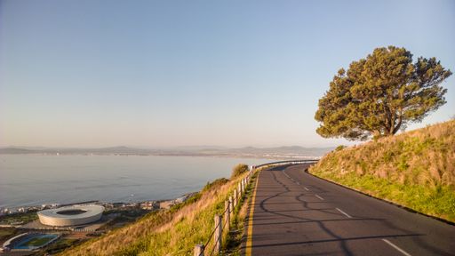 A wide angle shot of a road going around a tree under the blue sky