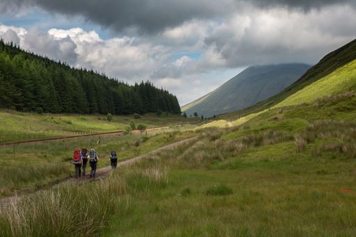 A group of travelers/hikers walking up the mountain through the green field in summer