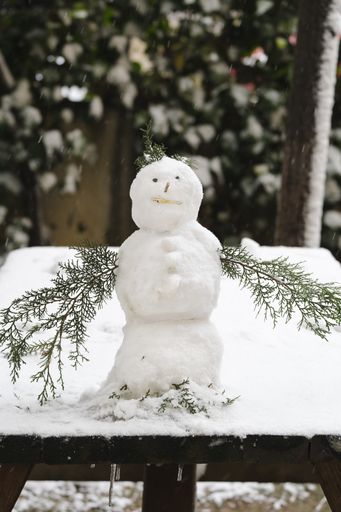 A small snowman with fir tree branches as its hands and wood pieces as its nose and mouth