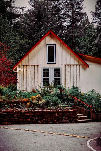 A vertical shot of a beautiful white house with a red roof surrounded by high trees