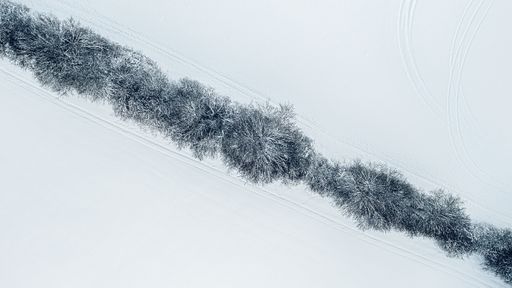 An aerial view of a snowy forest