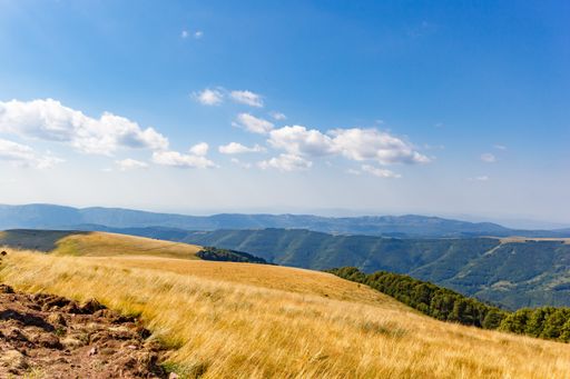A scenic landscape of a grass field with mountain background under a blue cloudy sky