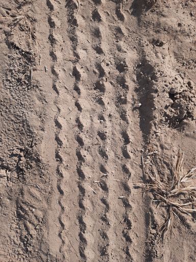 A vertical shot of wheel track on soil ground