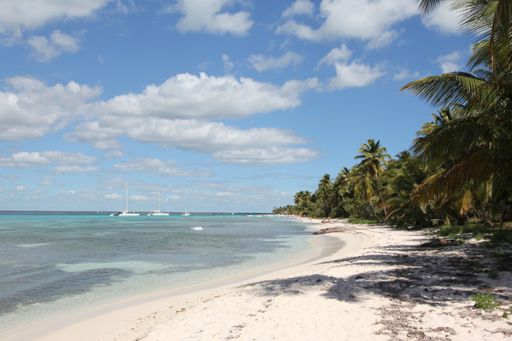 A beautiful shot of Isla Saona in the Caribbean