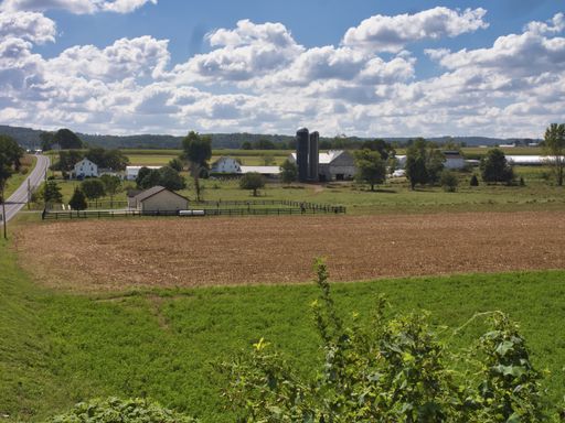 A grassy field with Amish buildings in the distance under a blue sky