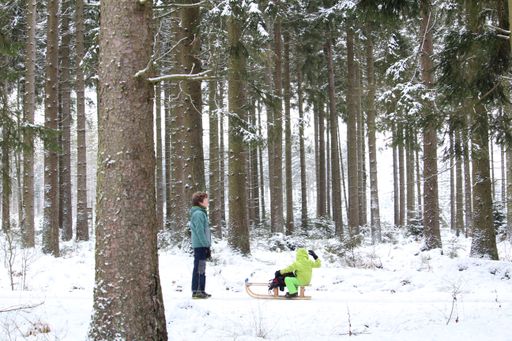 Kids are playing and sleighing and having fun in the snow