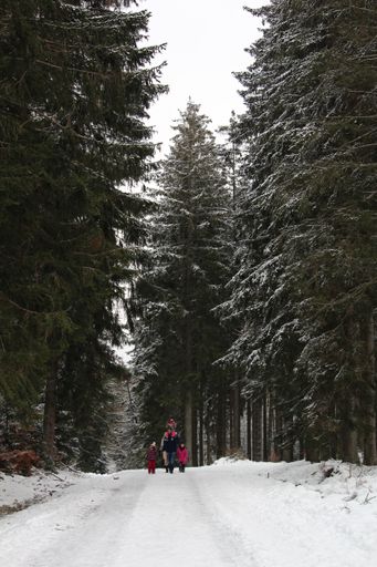 A vertical shot of father with his children walking down the snowy path surrounded by trees