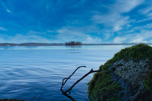A closeup shot of mossy rock and branches near the blue sea