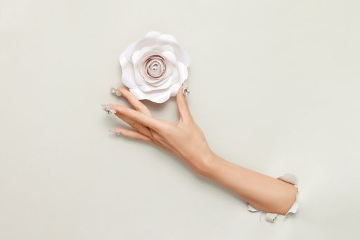 A closeup shot of a female's arm grabbing a rose over a white background