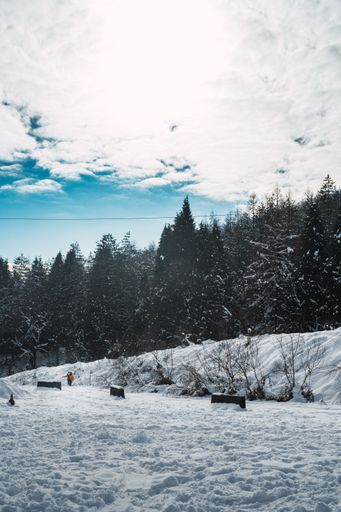 A vertical shot of a park covered with snow against the cloudy blue sky