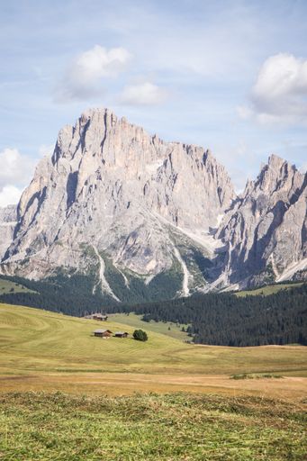 A vertical shot of Seiser Alm - Alpe di Siusi with wide pasture in Compatsch Italy