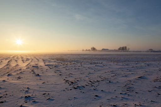 An empty snowy field with mist under a blue sky
