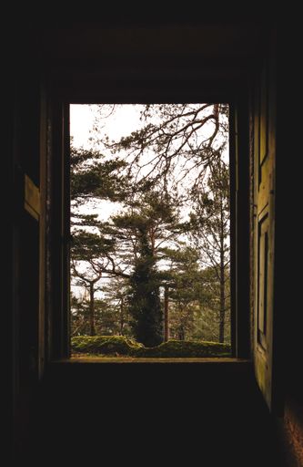 window to nature, in Geres at Portugal