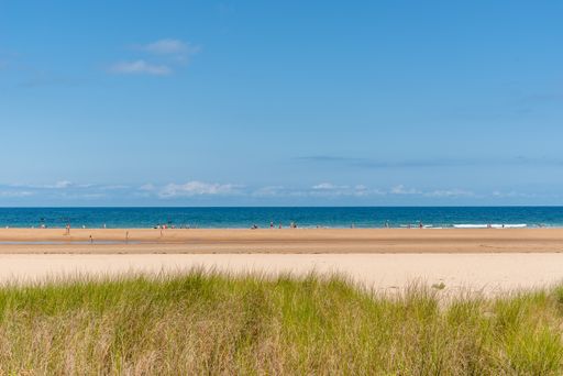 A beautiful shot of the beach on a sunny day
