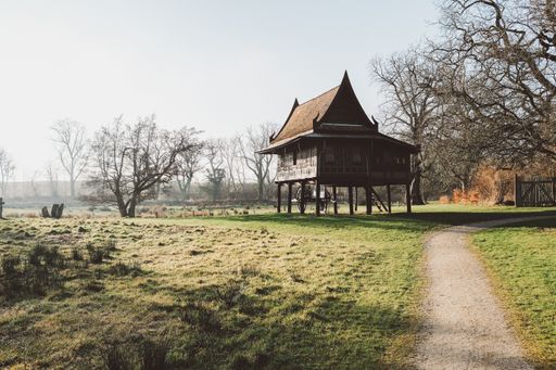A wide angle shot of a house on a green landscape surrounded by several dry trees under a  cloudy sky