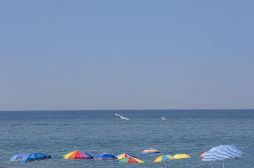 A landscape of the sea surrounded by colourful umbrellas with seagulls flying above them at daytime