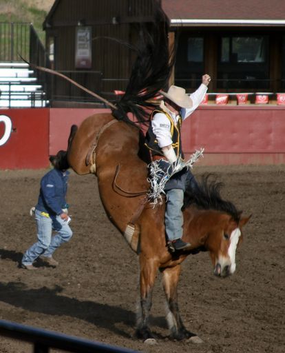 CWU university student member of College Rodeo competes to ride the longest on a bucking horse during the annual rodeo event in Ellensburg, Washington