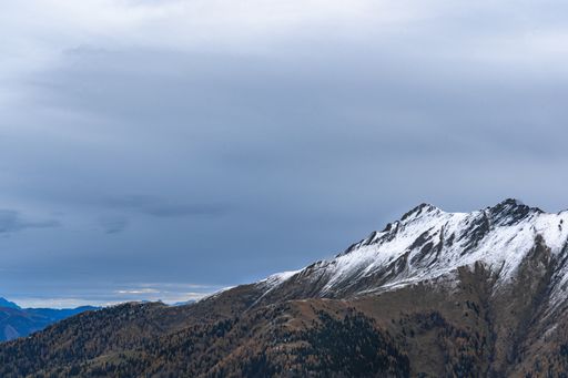 A beautiful shot of a snowy forested mountain under a cloudy sky