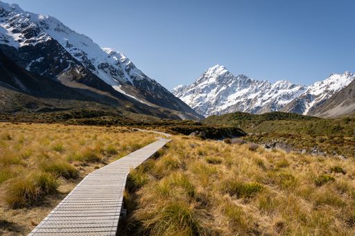 A wooden pathway leading into the snowy mountains, surrounded by lush green grass and tall weeds