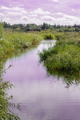 River flowing through a green landscape full of plants and trees under a cloudy sky