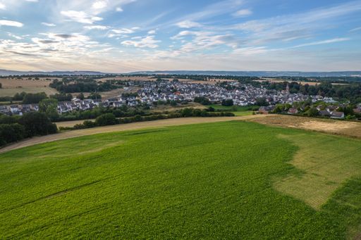 lush green of nature and crops near Bassenheim, Germany during the summer.