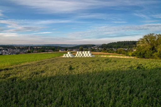 This drone imagery captures the lush green of nature and crops near Bassenheim, Germany during the summer.
