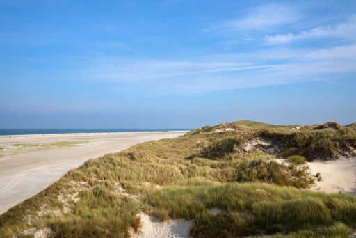 An aerial shot of the sandy beach with greenery in Amrum, North Frisia, Germany