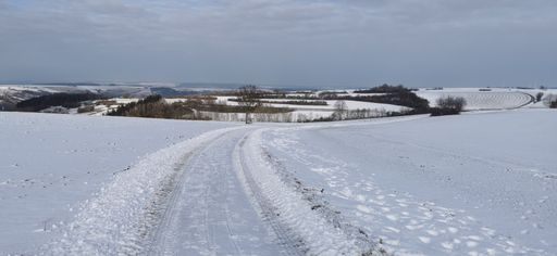 A field with trees covered by snow on background of the cloudy sky