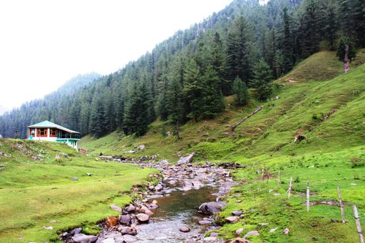 A river with a green meadow on both sides and a forest in the background
